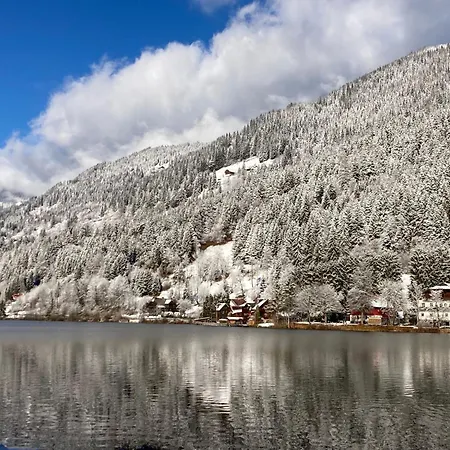Lejlighed Seebrauer 11 By Interhome Feld am See